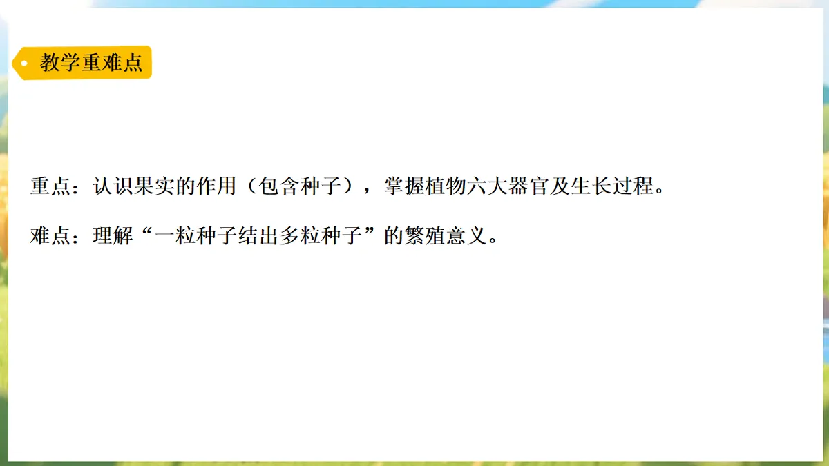 17912866第3页