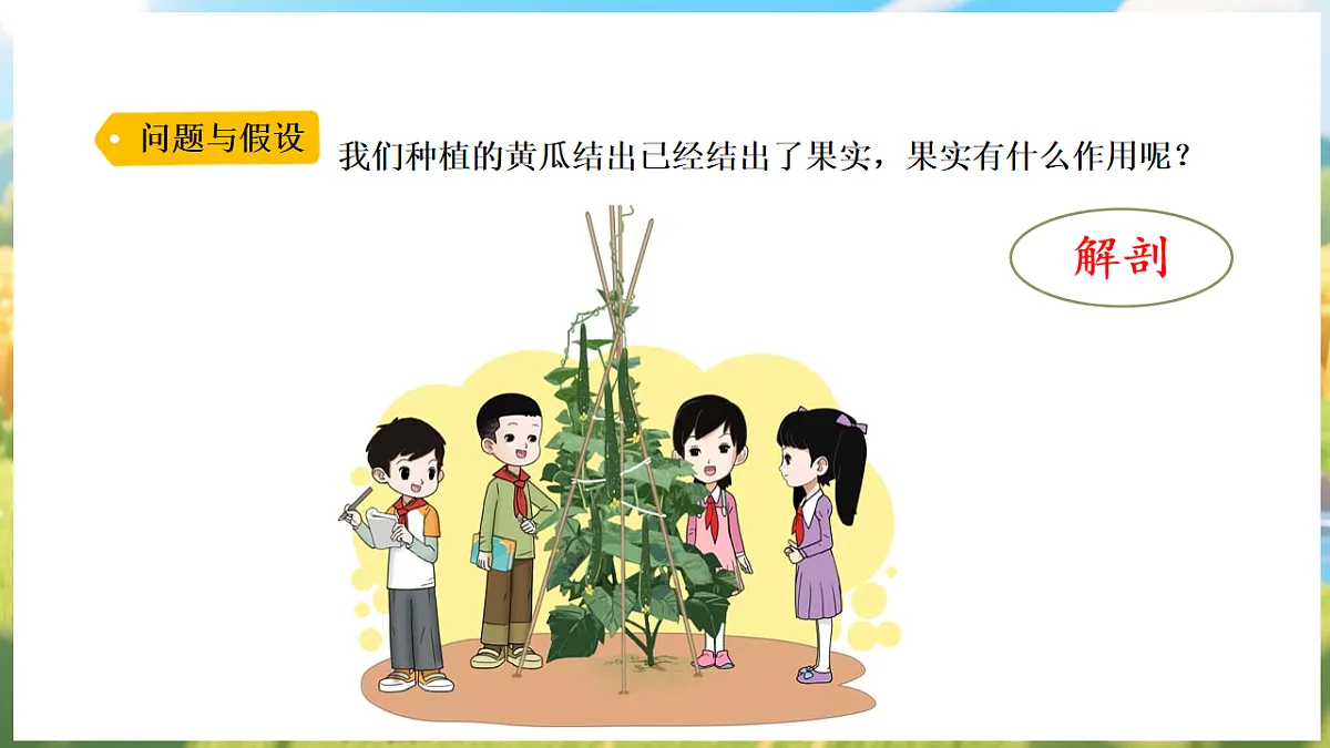 17912866第4页