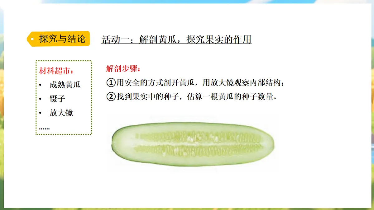 17912866第5页