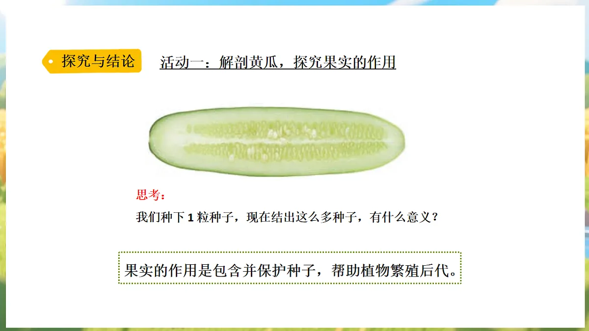 17912866第6页