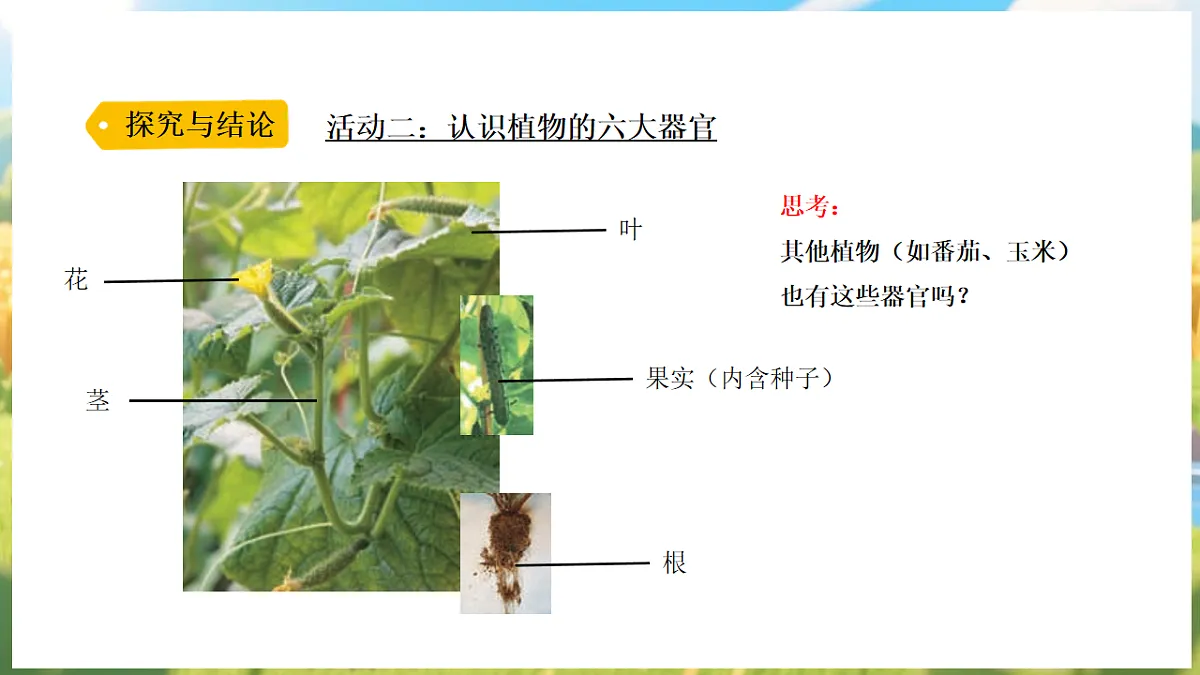 17912866第7页