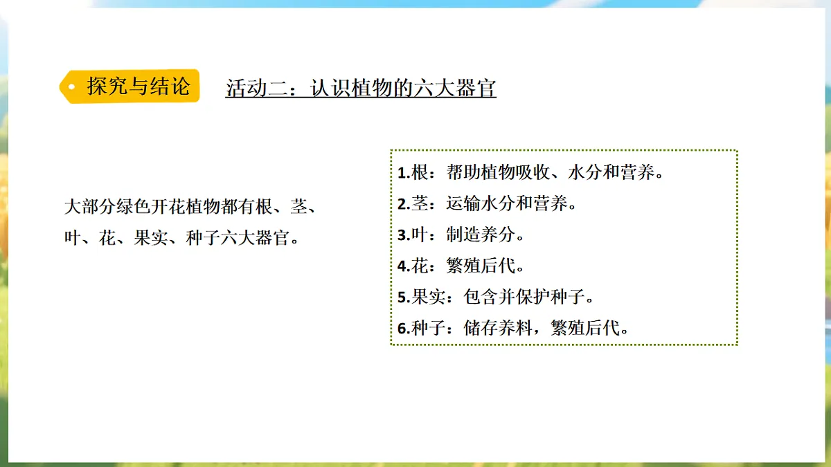 17912866第8页