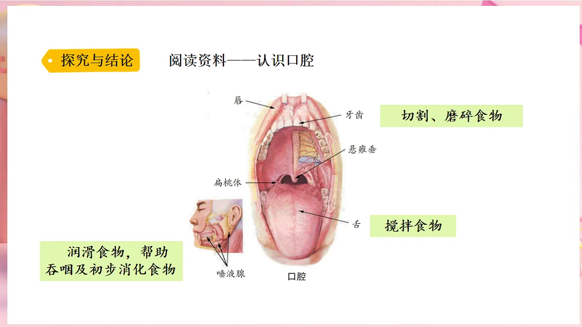 17912869第6页