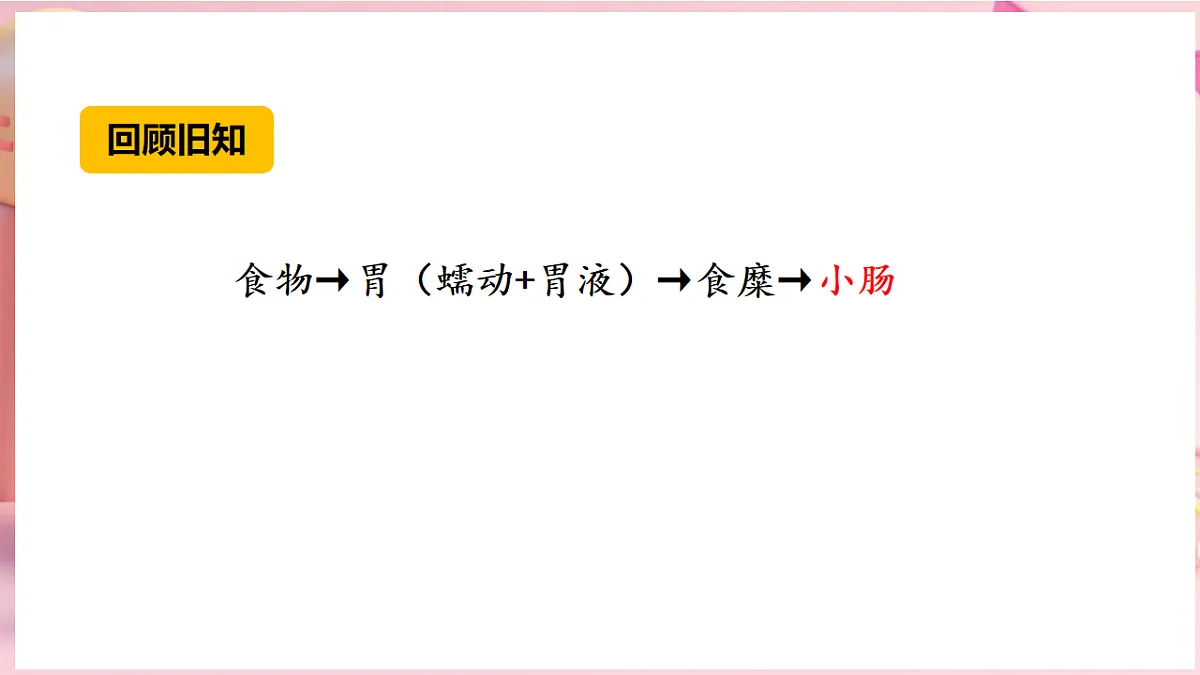 17912871第4页