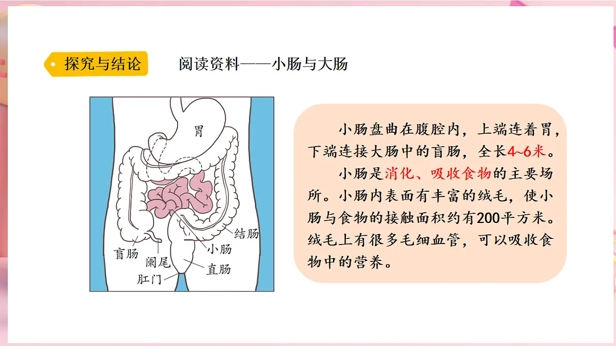 17912871第6页