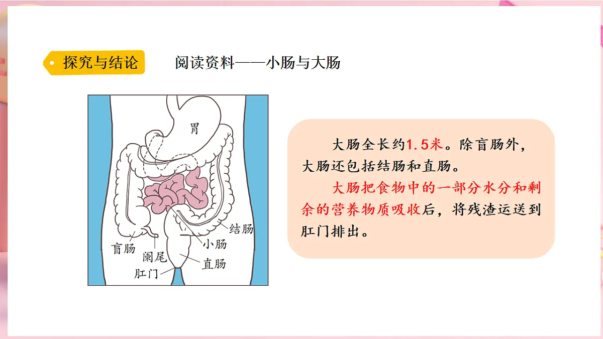 17912871第7页