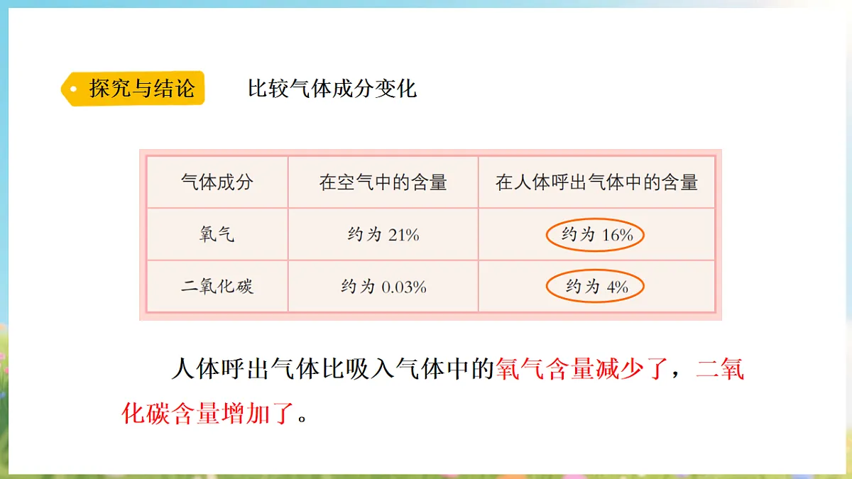 17912872第6页