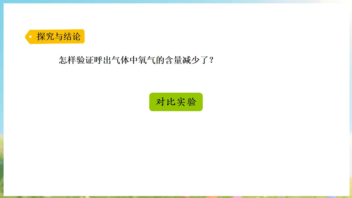 17912872第7页