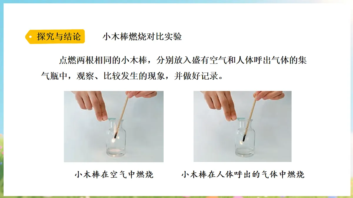 17912872第8页