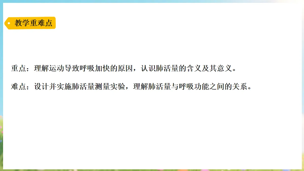 17912875第3页