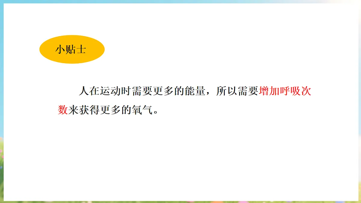 17912875第8页