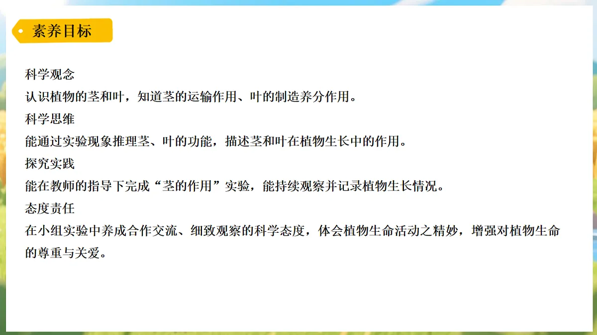 17913072第2页