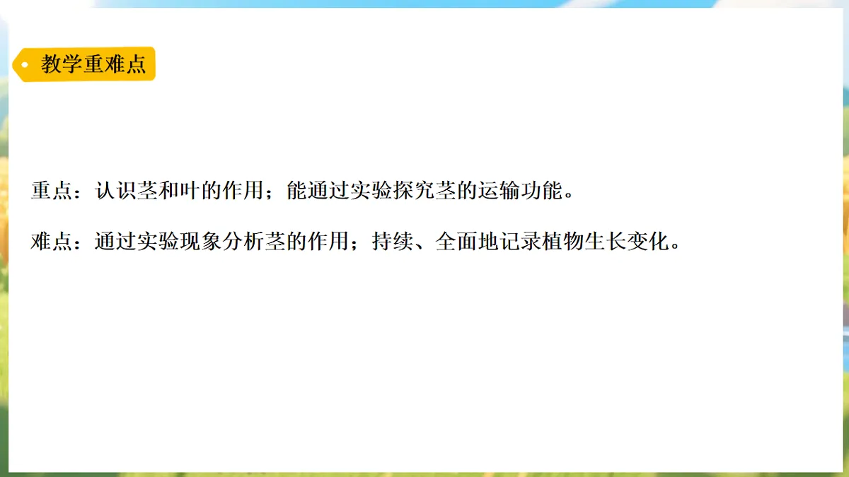 17913072第3页