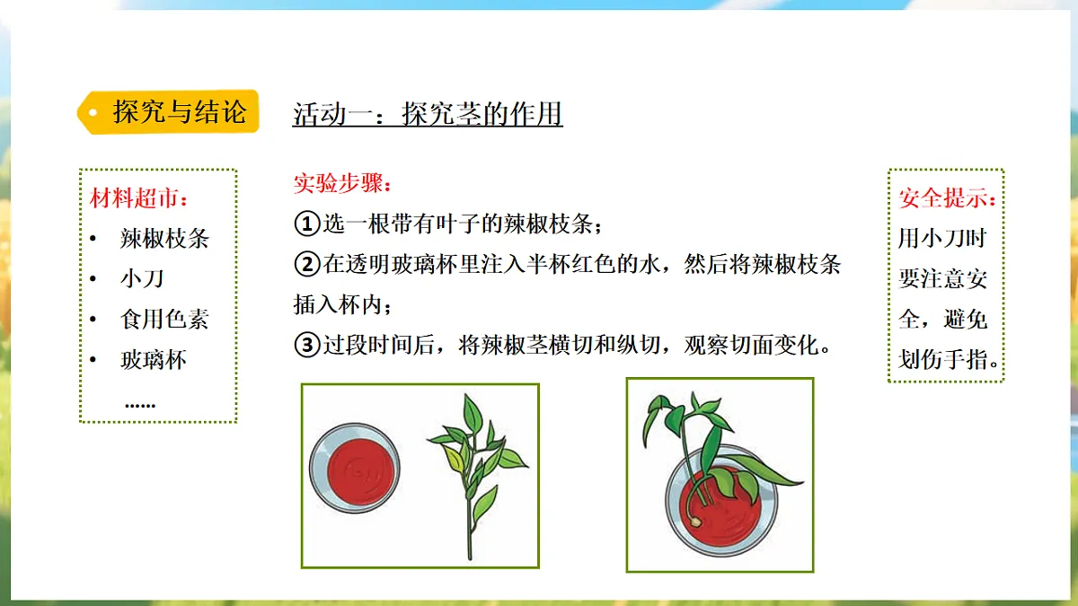 17913072第5页