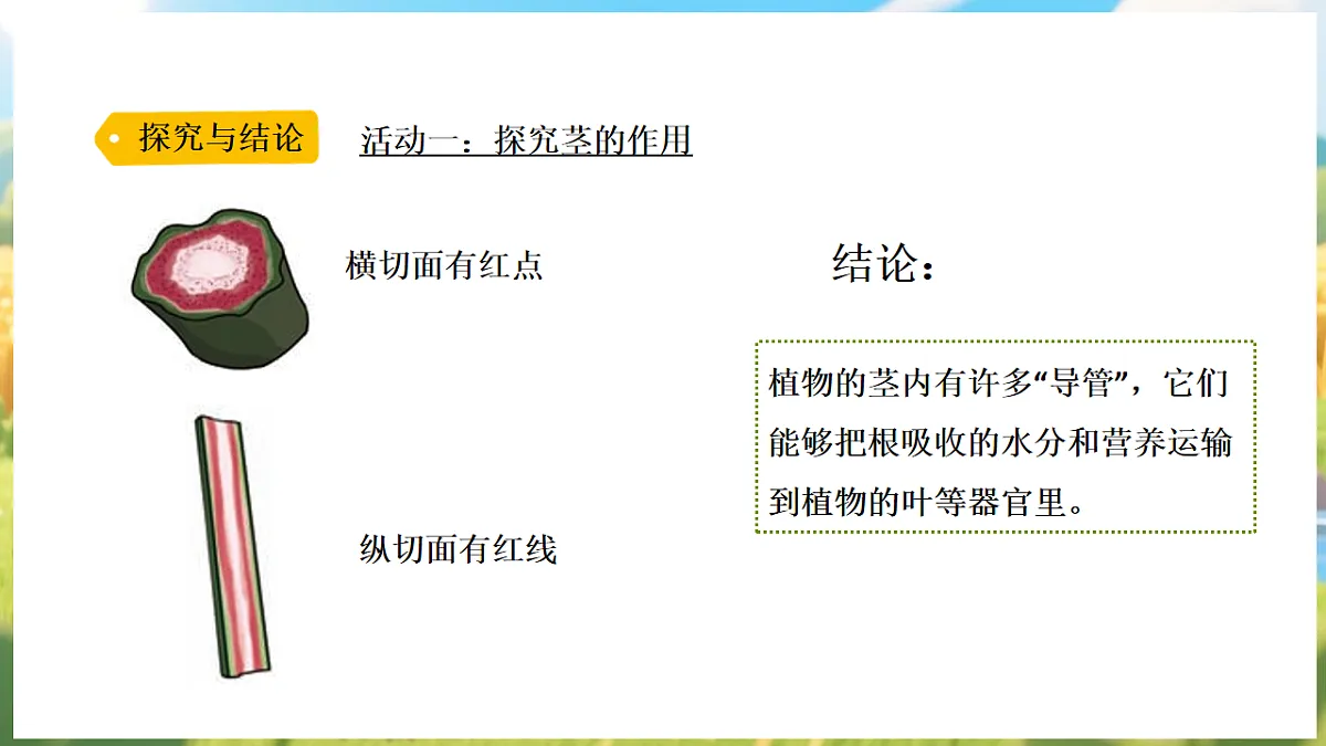 17913072第6页
