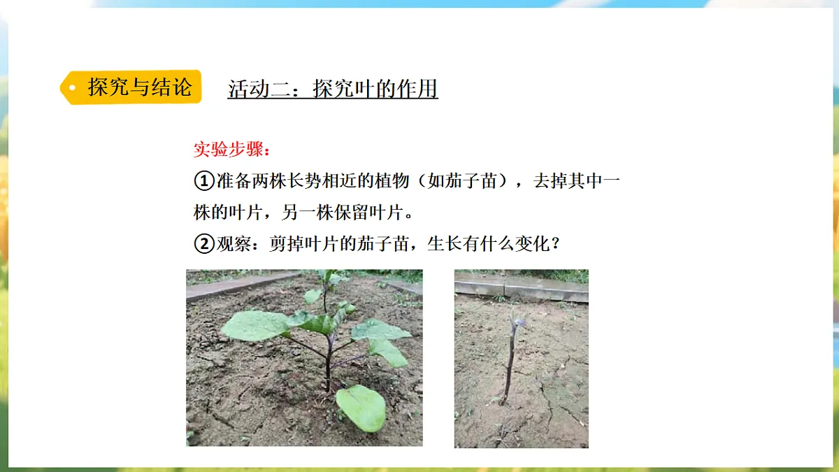 17913072第7页