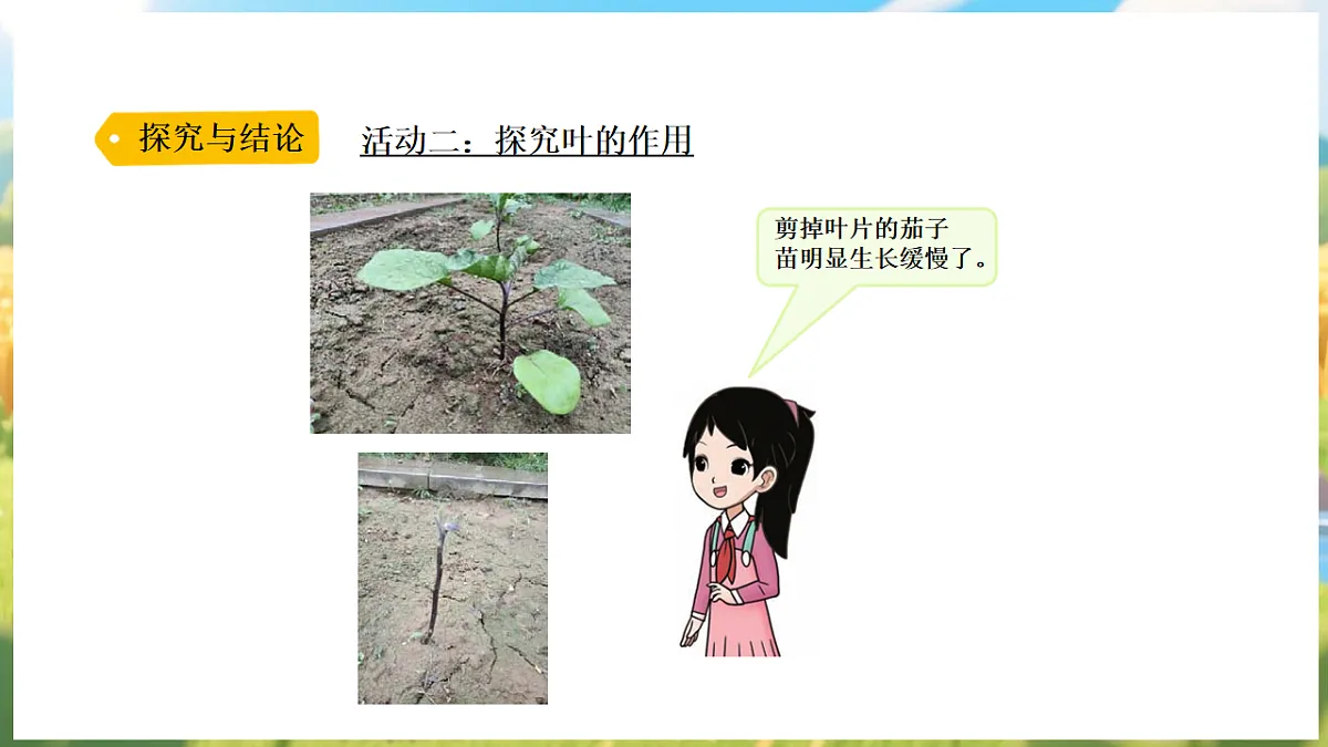 17913072第8页