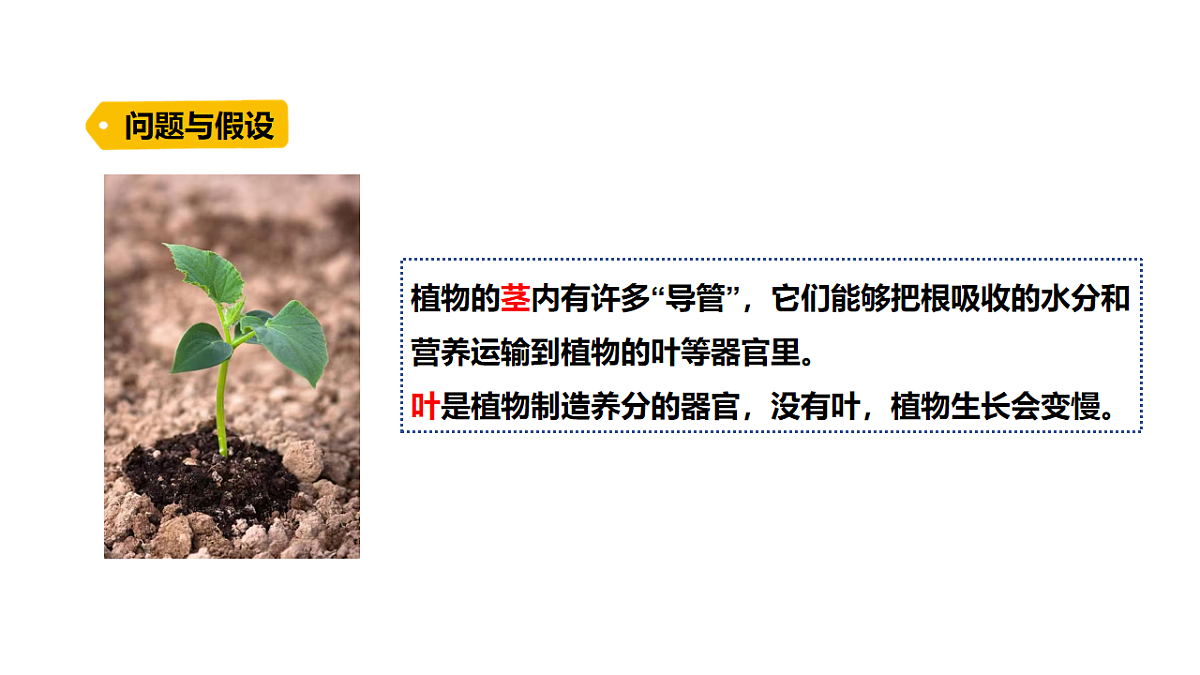17914141第2页