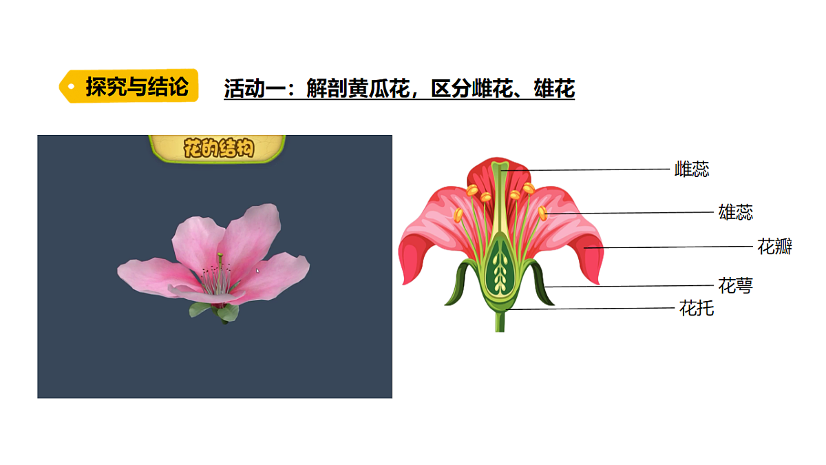 17914141第4页