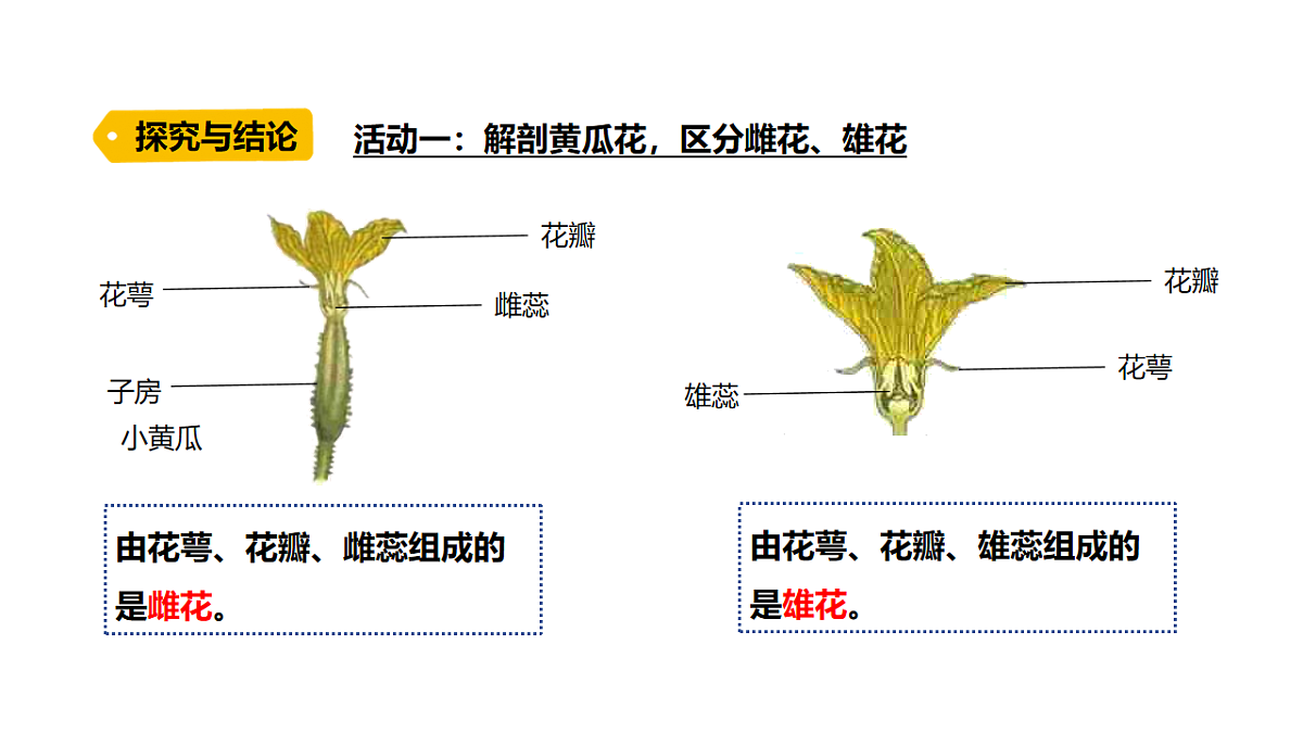 17914141第7页