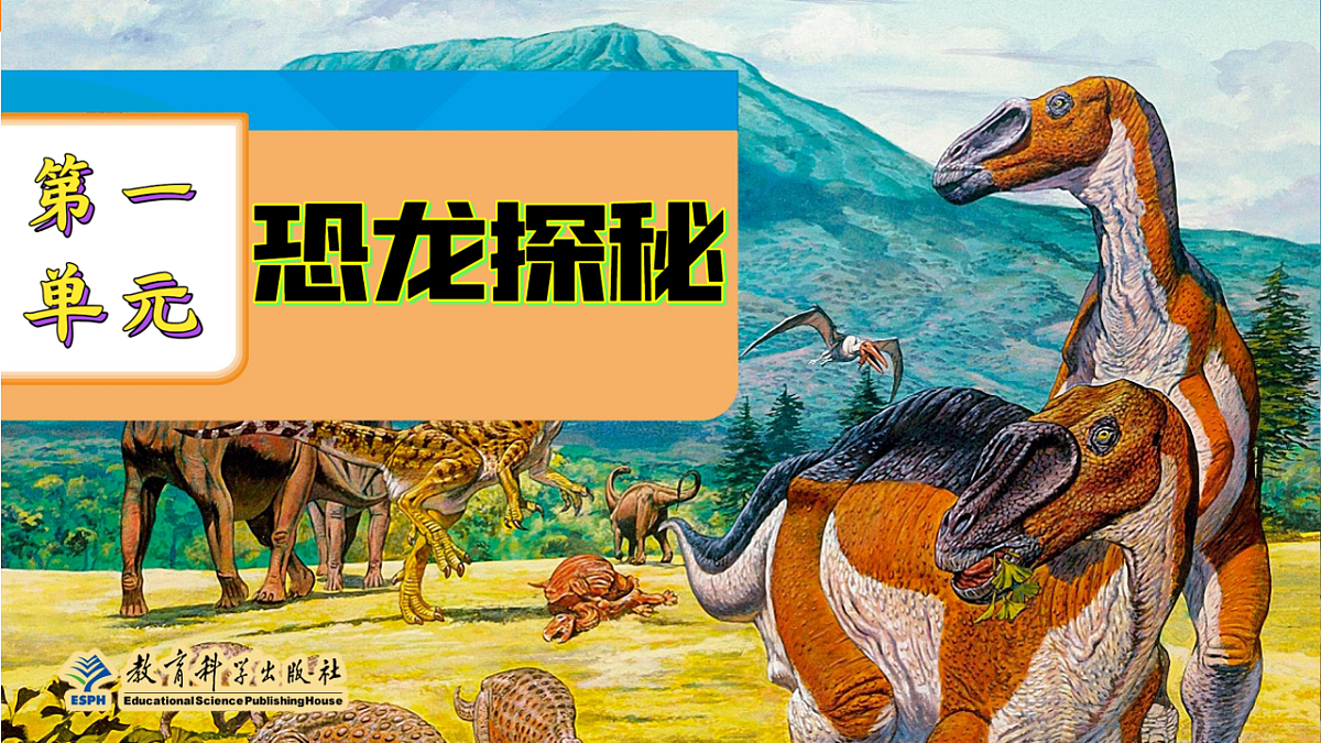 17914435第2页