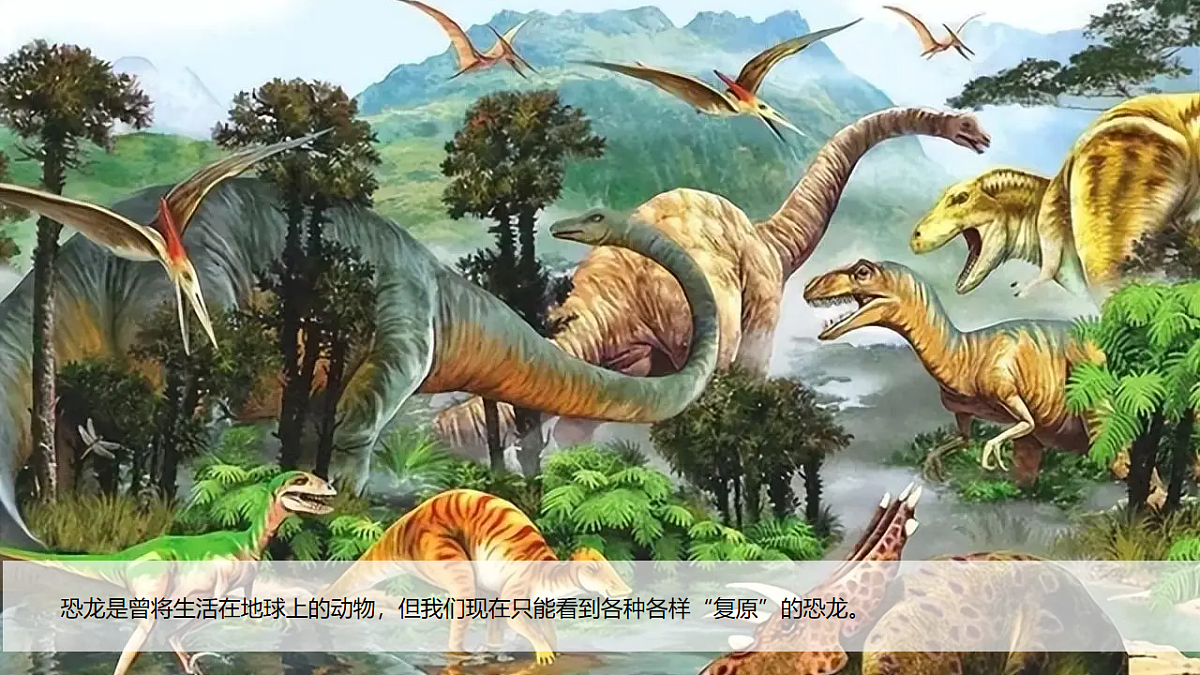 17914435第6页