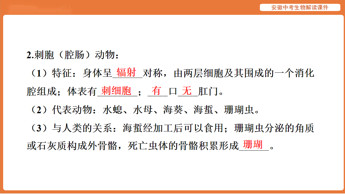 17914481第7页