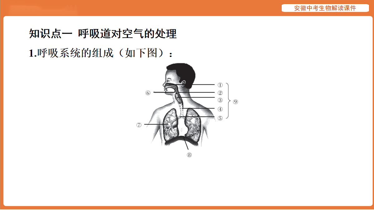 17914490第6页