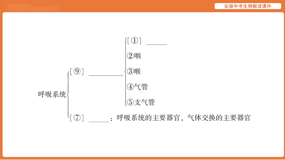 17914490第7页