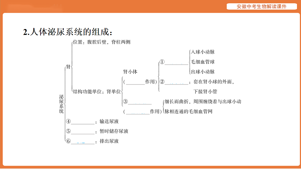 17914492第7页