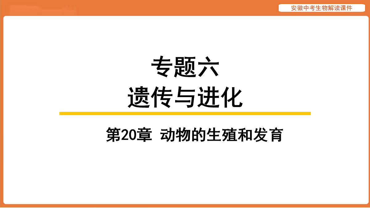 17914497第1页