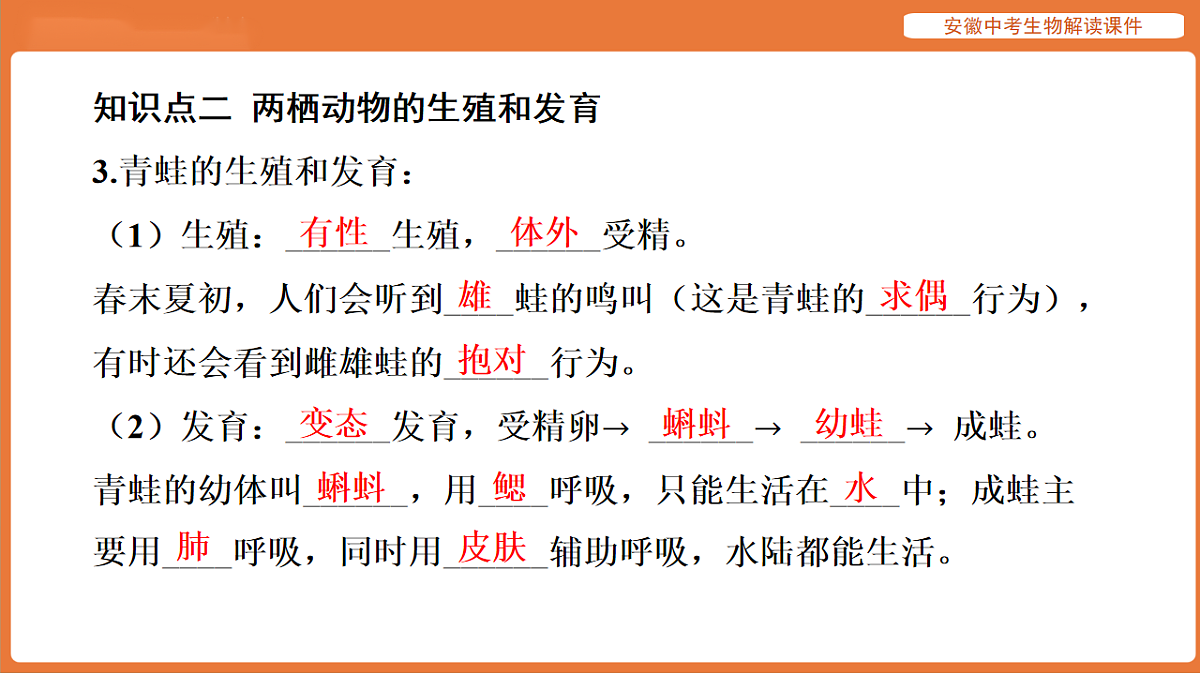 17914497第7页