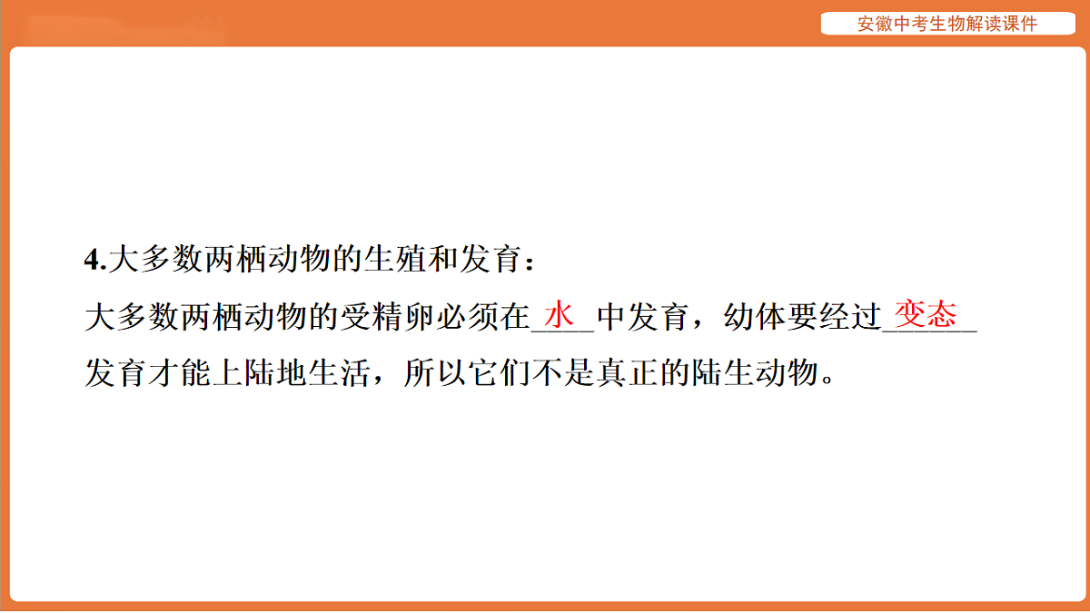 17914497第8页