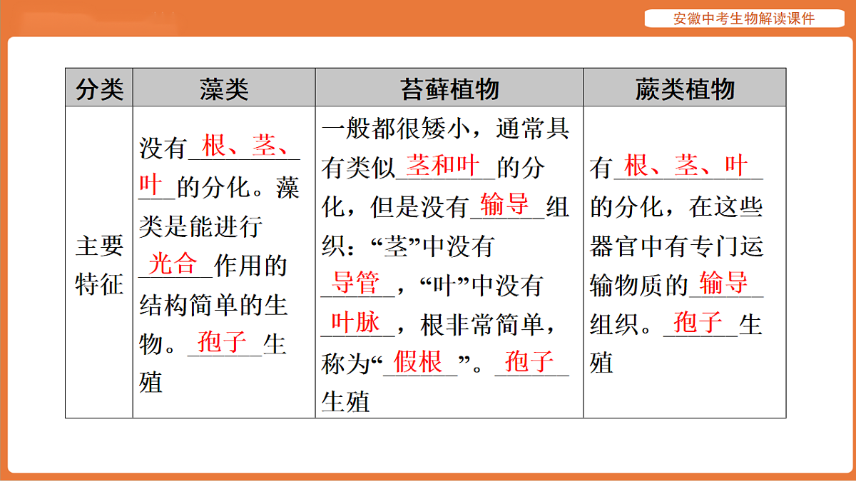 17914799第7页