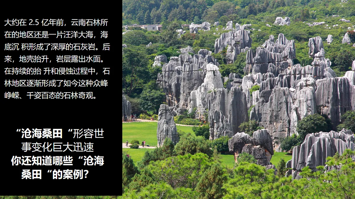 17916508第4页