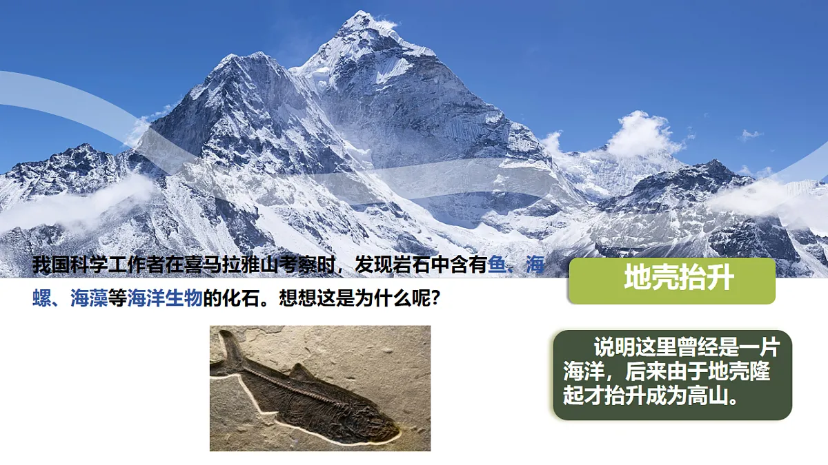 17916508第5页
