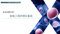 人教版 (2019)选择性必修3胚胎工程的理论基础授课ppt课件