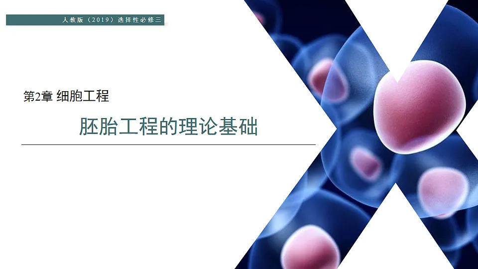 17918178第1页