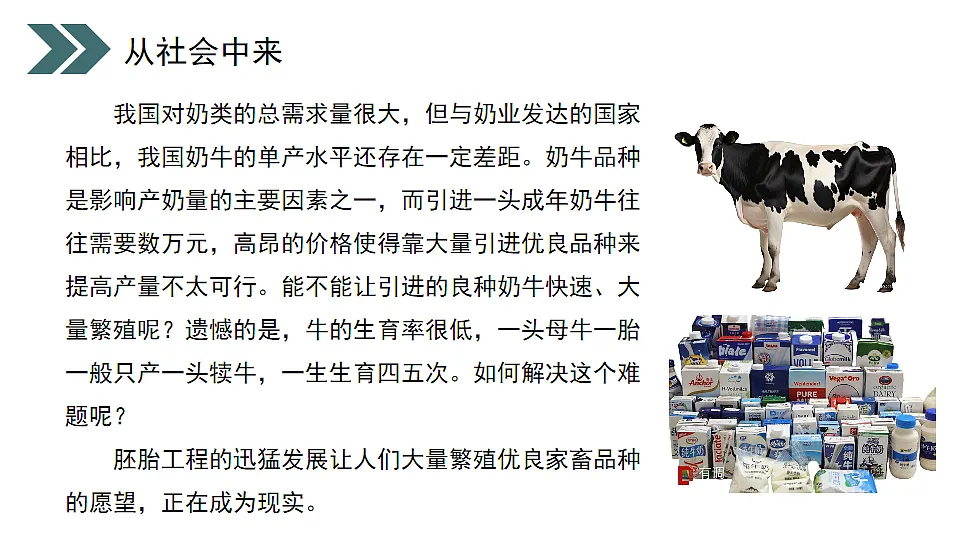 17918178第3页