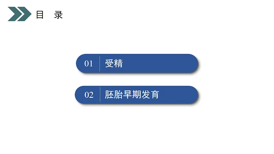 17918178第5页