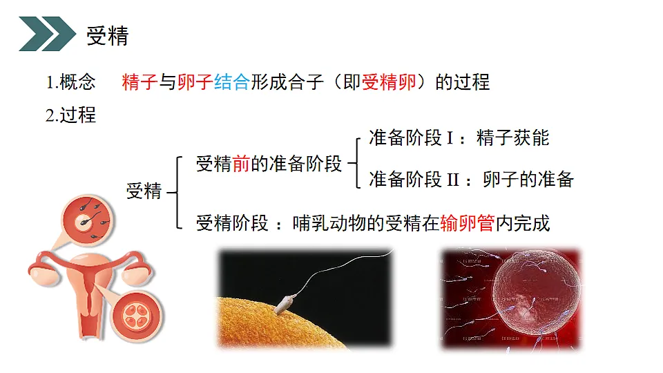 17918178第7页