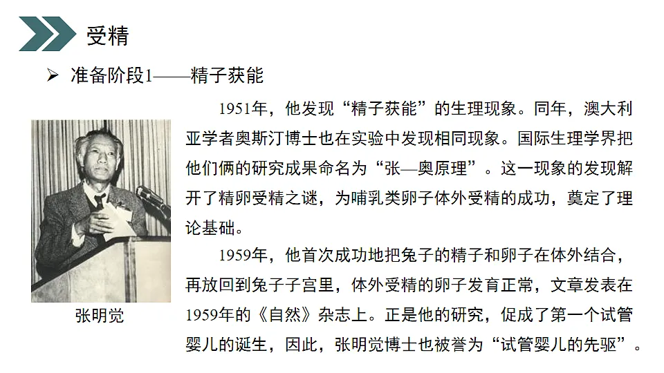 17918178第8页