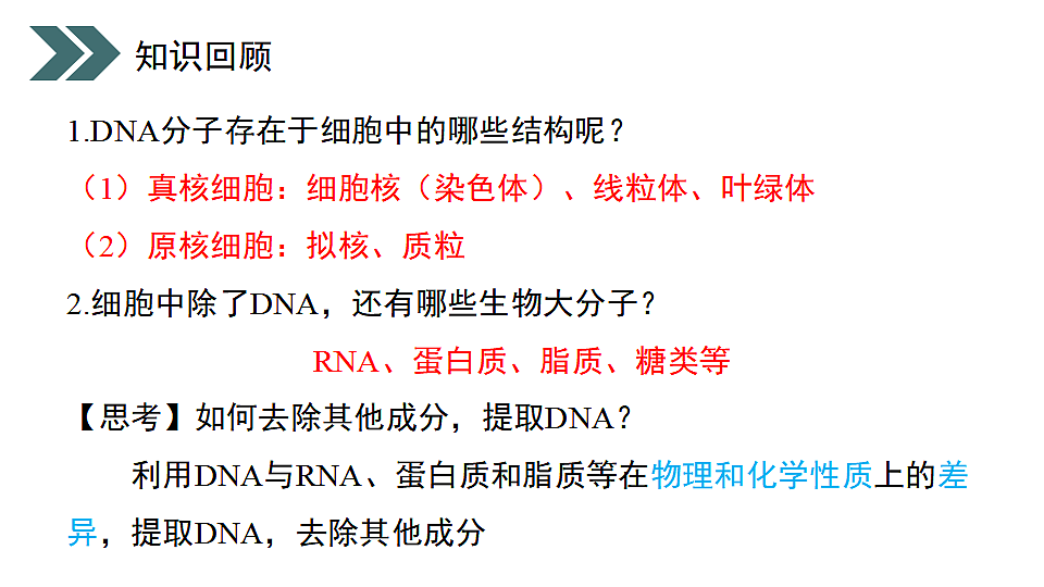 17918181第3页