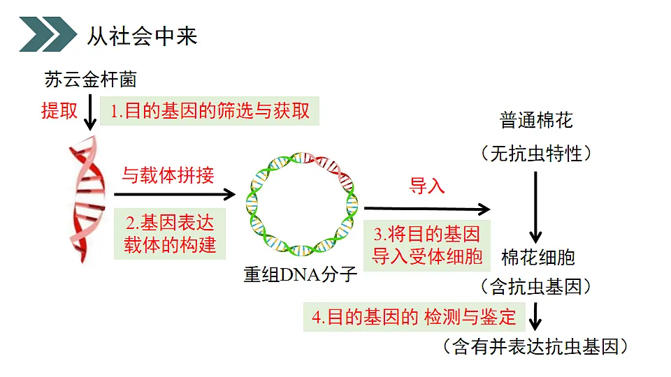 17918182第5页