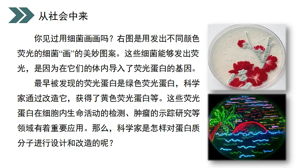 17918185第3页