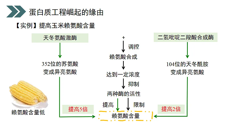 17918185第7页
