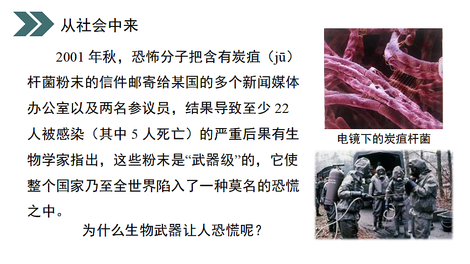 17918187第3页