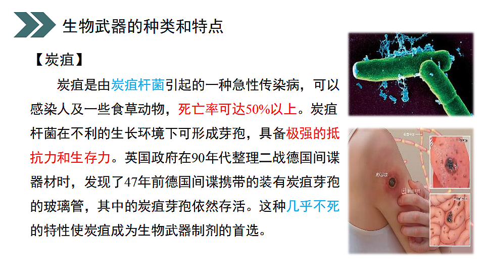 17918187第5页