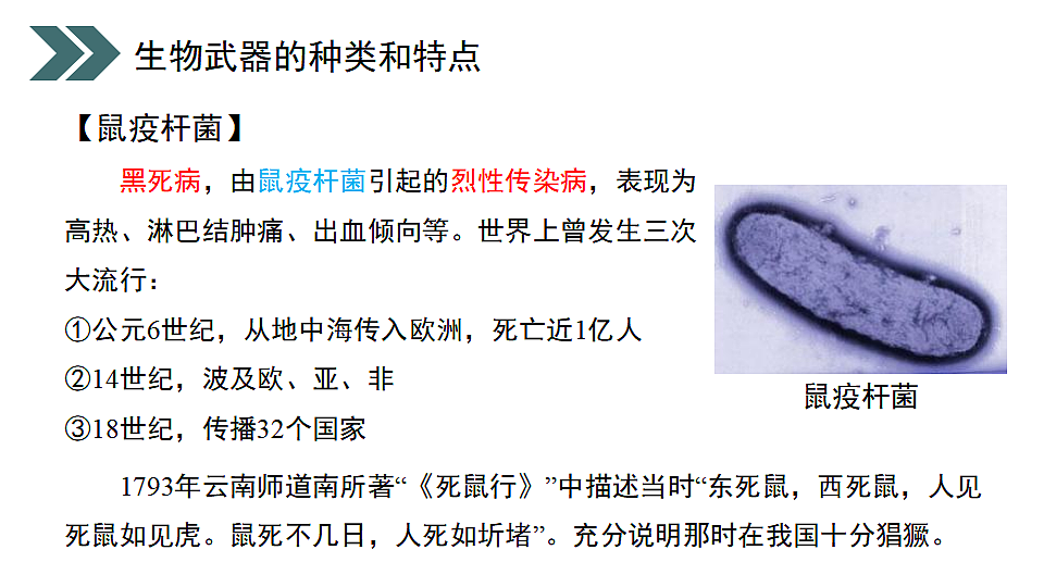 17918187第7页