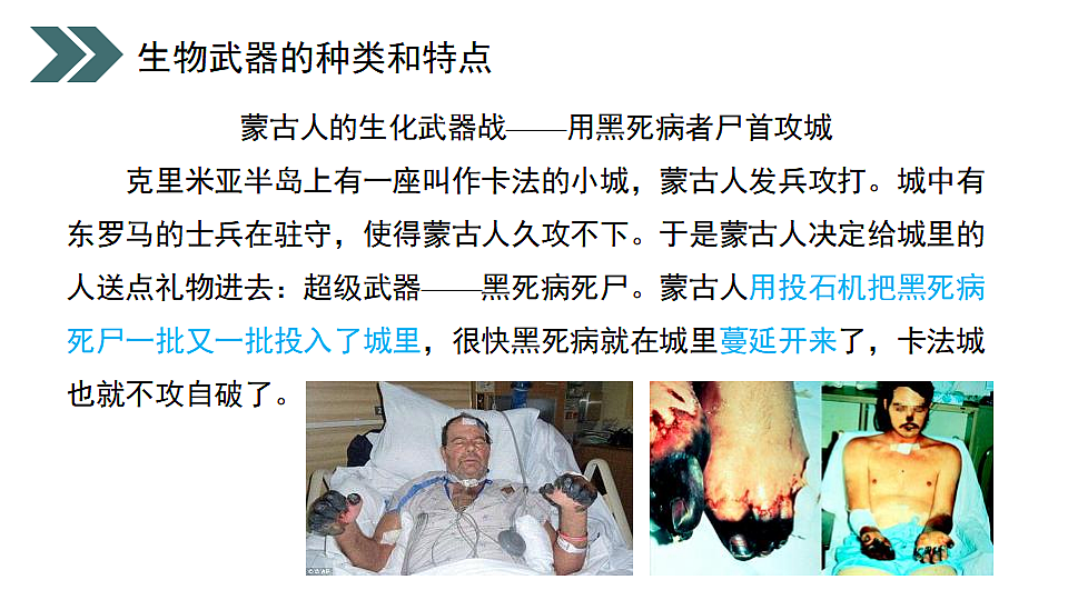 17918187第8页